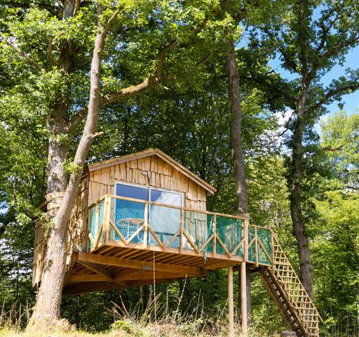 Die originelle Holzhütte im Elsass: hängende Baumhütte Robin Hood
