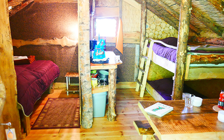 Vue extérieure de la cabane du Bûcheron, location de cabane insolite dans le Haut-Rhin au camping les Castors