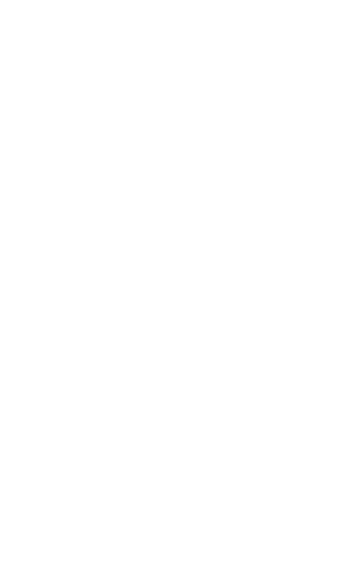 Storch