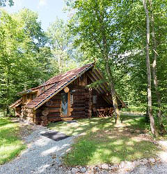 Log cabins to rent as holiday home at the Campsite Les Castors in Alsace