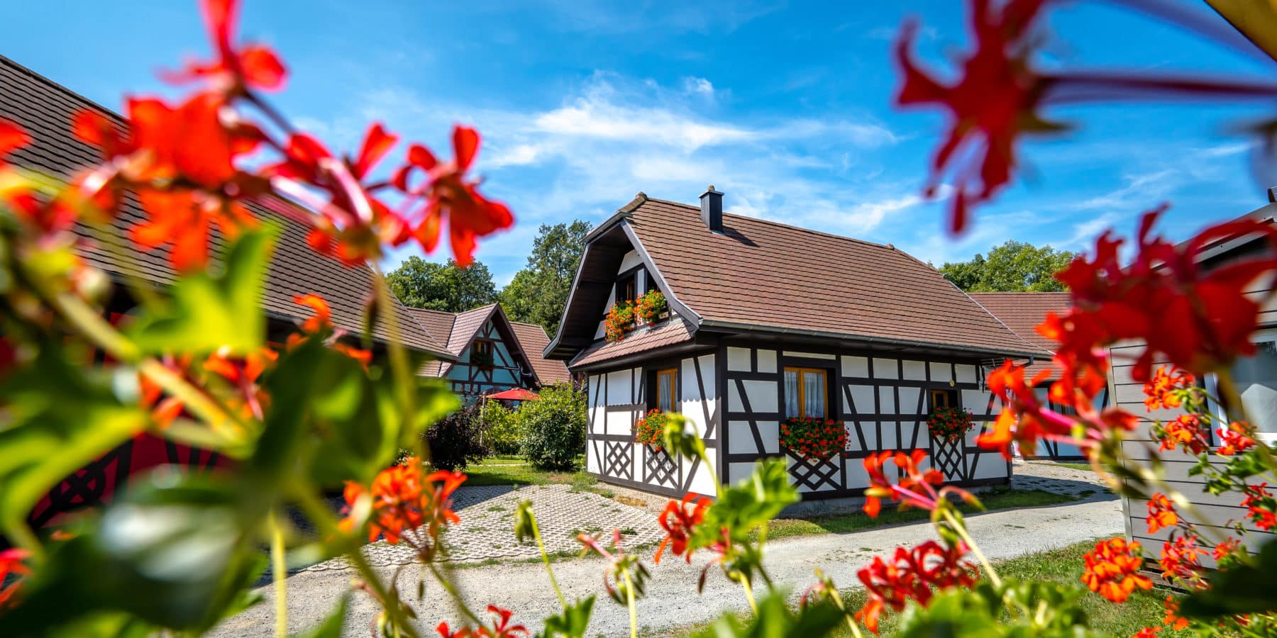 39569b6829e08be3ff349d6ca7c8bf5e40836b50