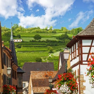 48bf00bd7aa1f2ad116217ded92238225260242c