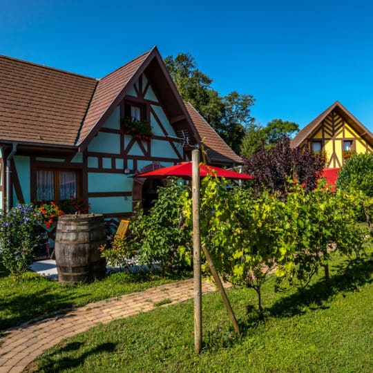 4957c1d9f230329b59796c42126f8daf4f587941