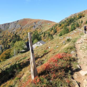 Sentier de la vallée de Munster en automne (Hohneck)