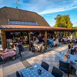 animations camping castor alsace_04