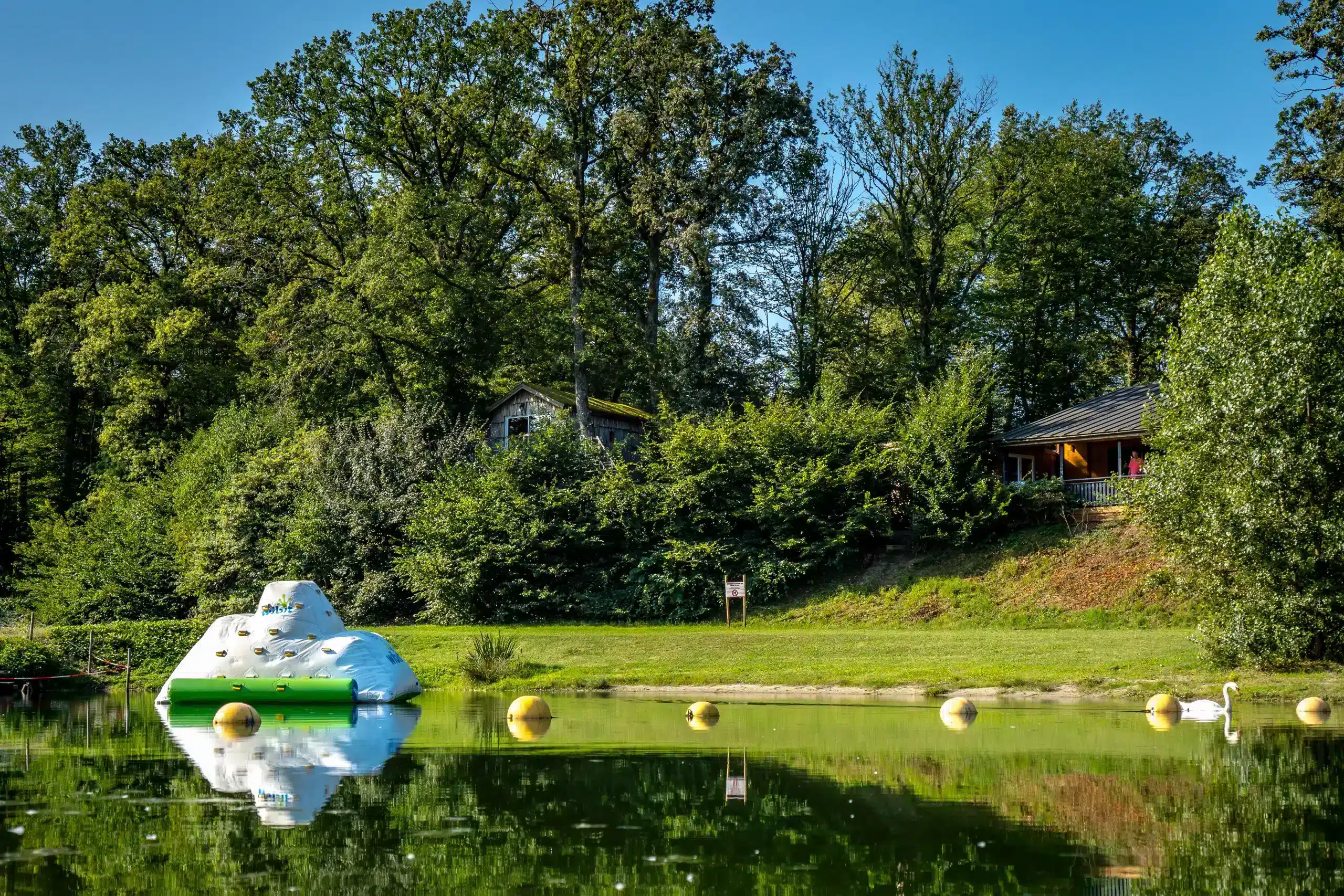 baignade lac camping castor alsace_01