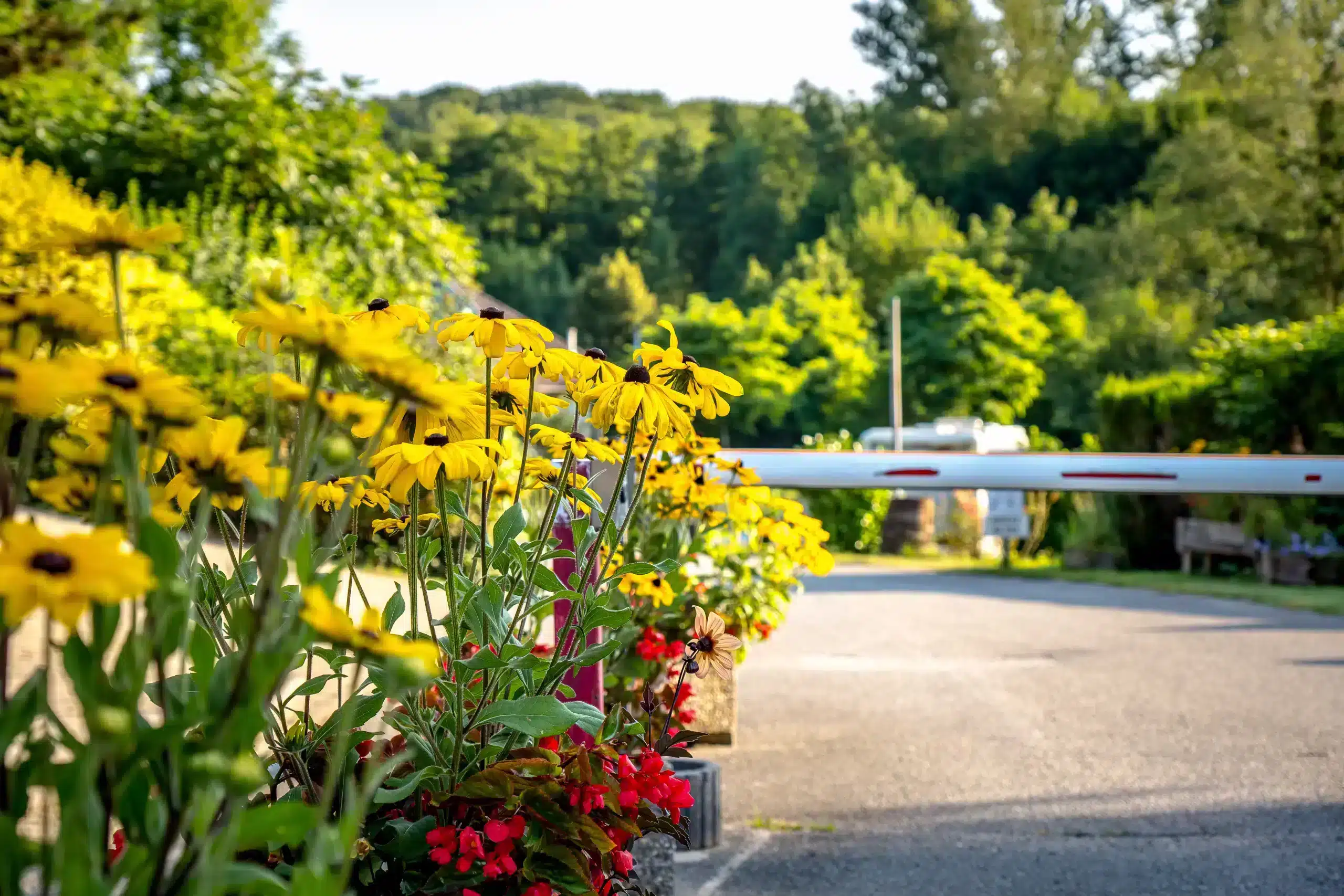 camping castor alsace_03