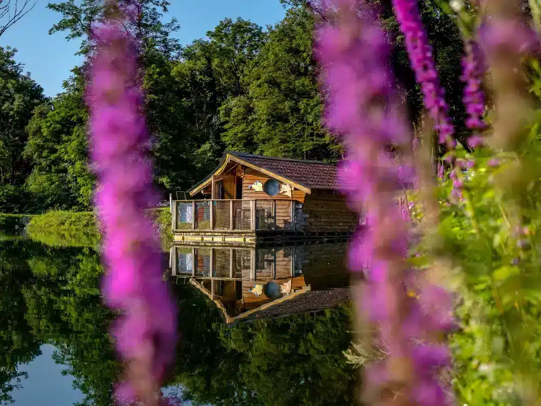 camping castor alsace_05