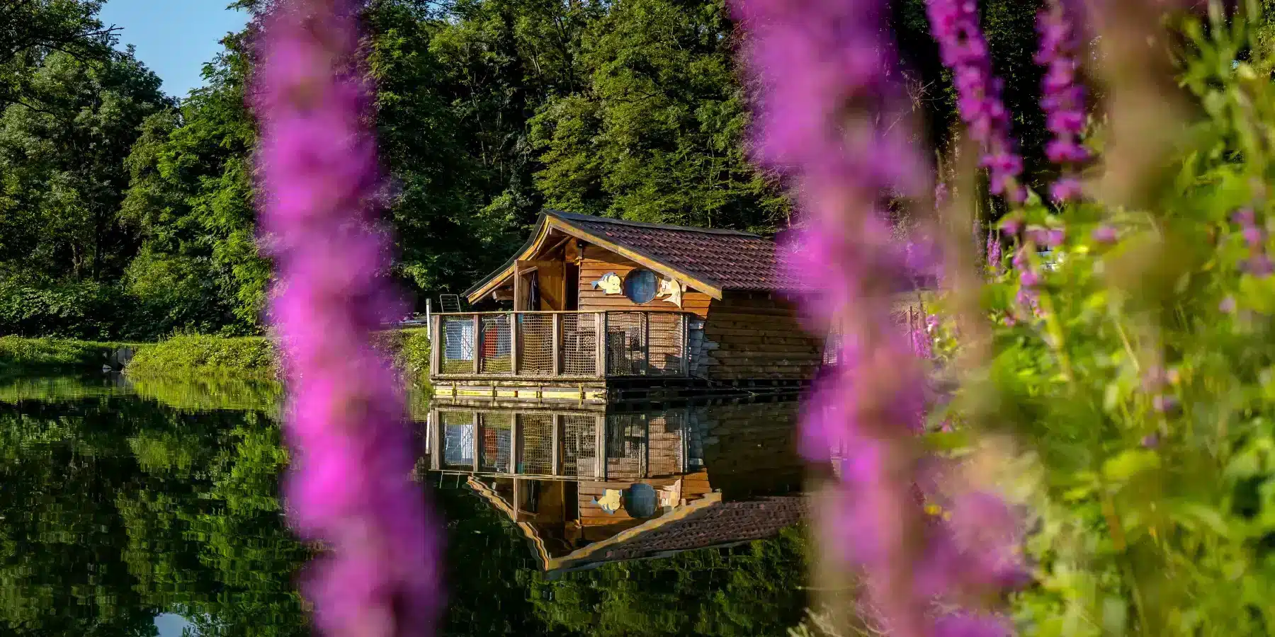 camping castor alsace_05