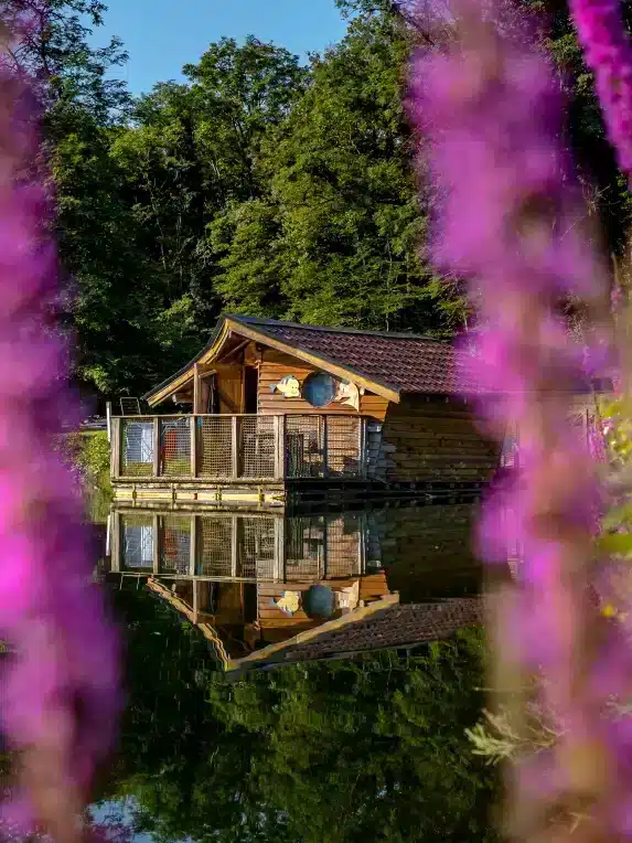 camping castor alsace_05