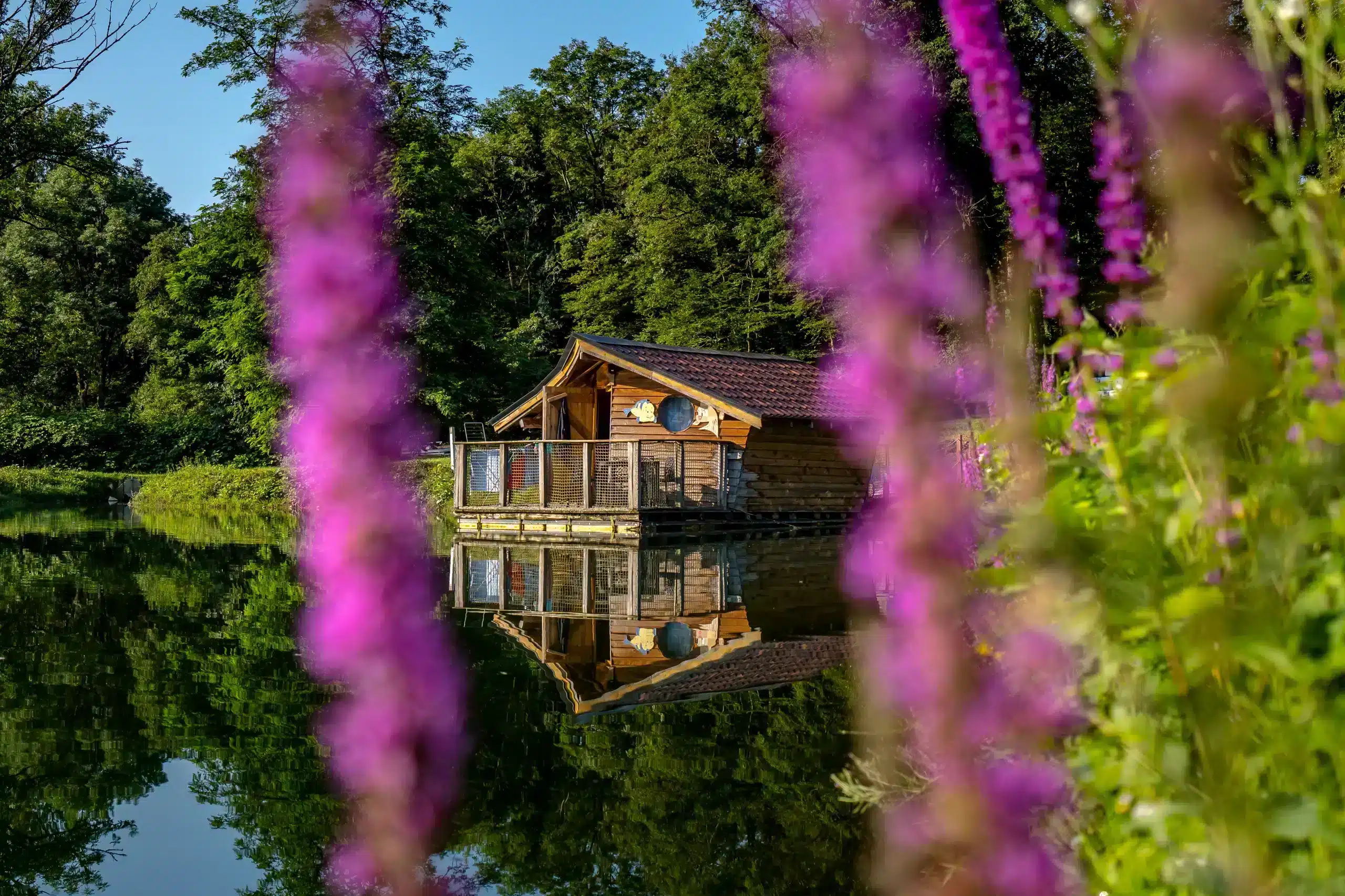 camping castor alsace_05