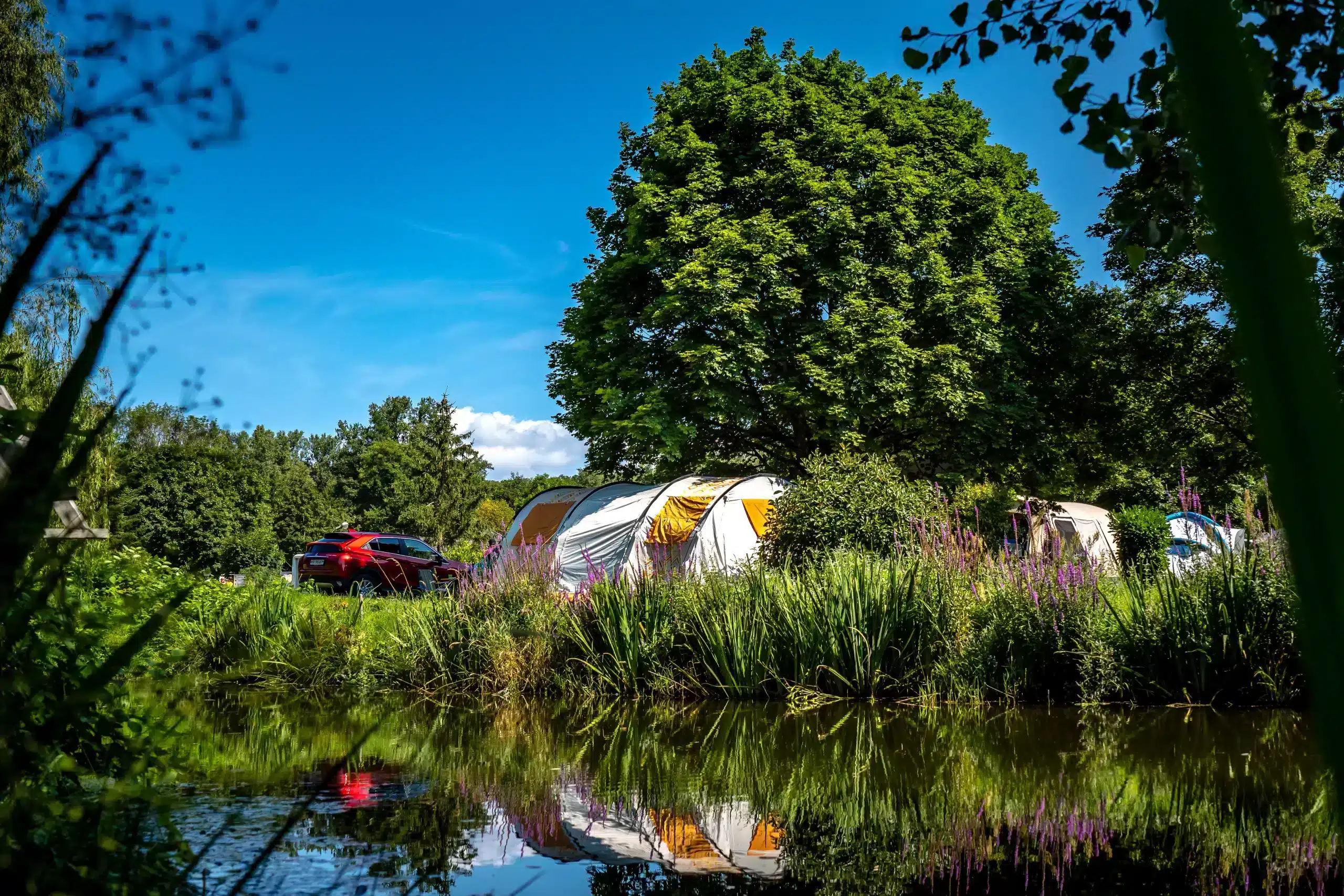 camping castor alsace_10