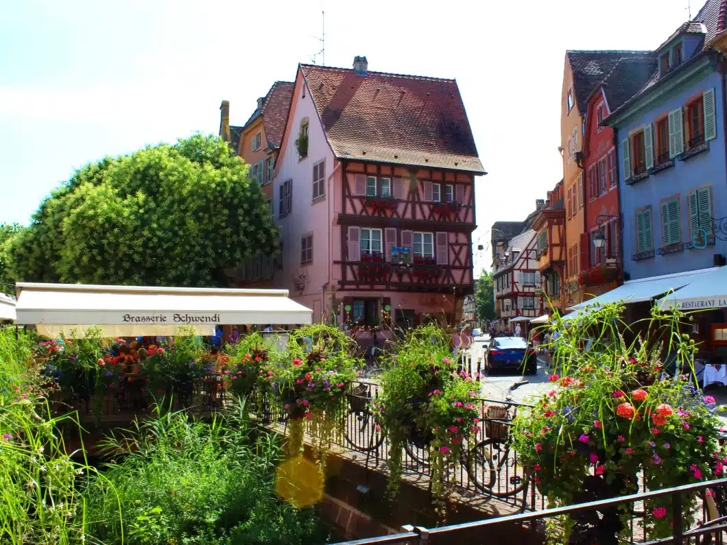 colmar vue