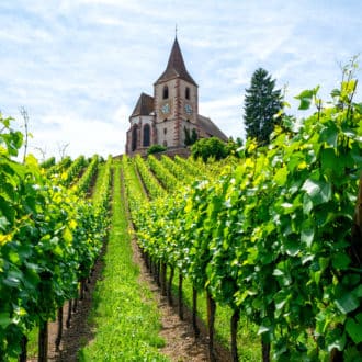 fe3c296d2cd7ca34bfb082470727feedcea44734