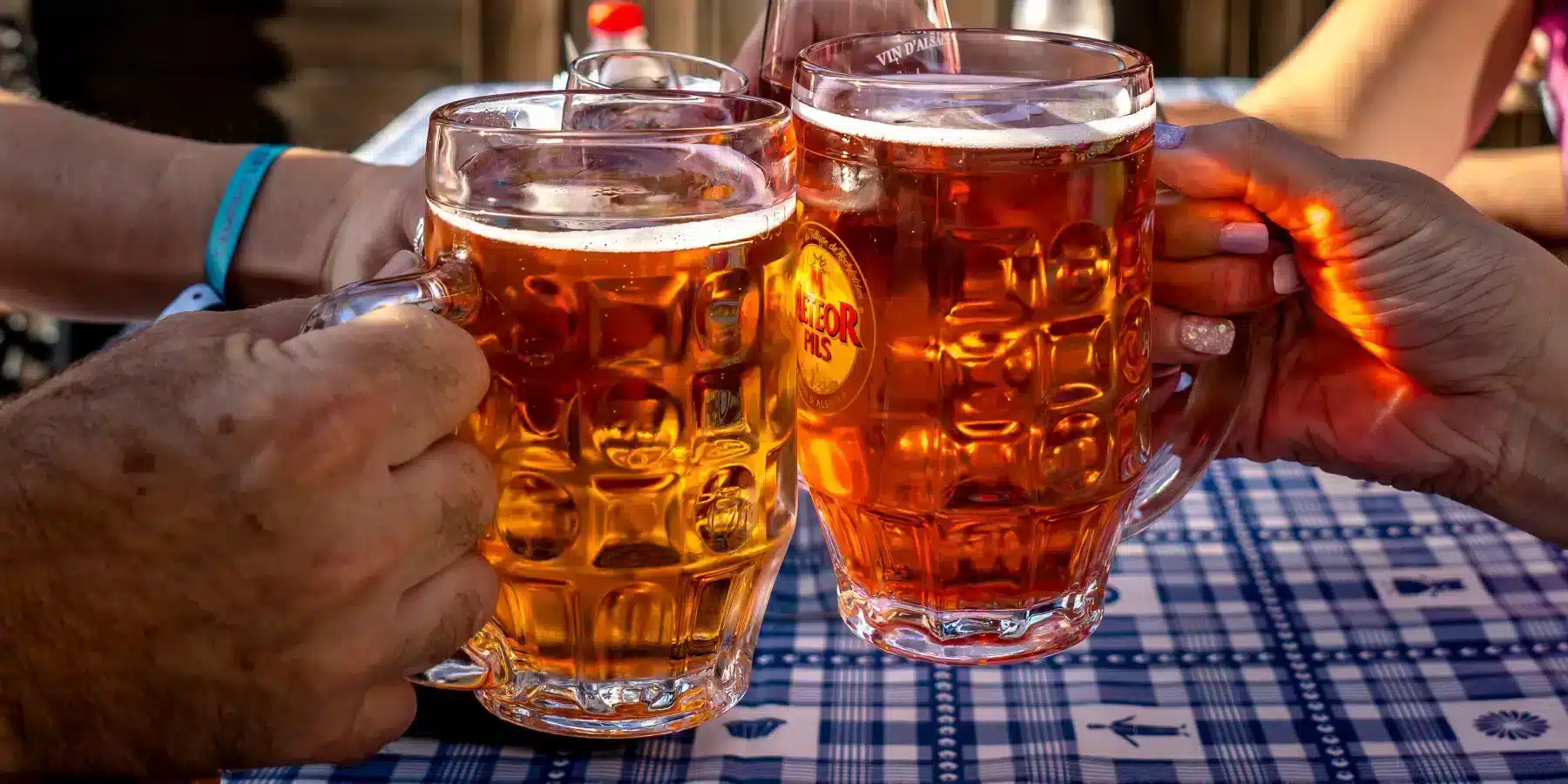 restaurant camping castor alsace_02