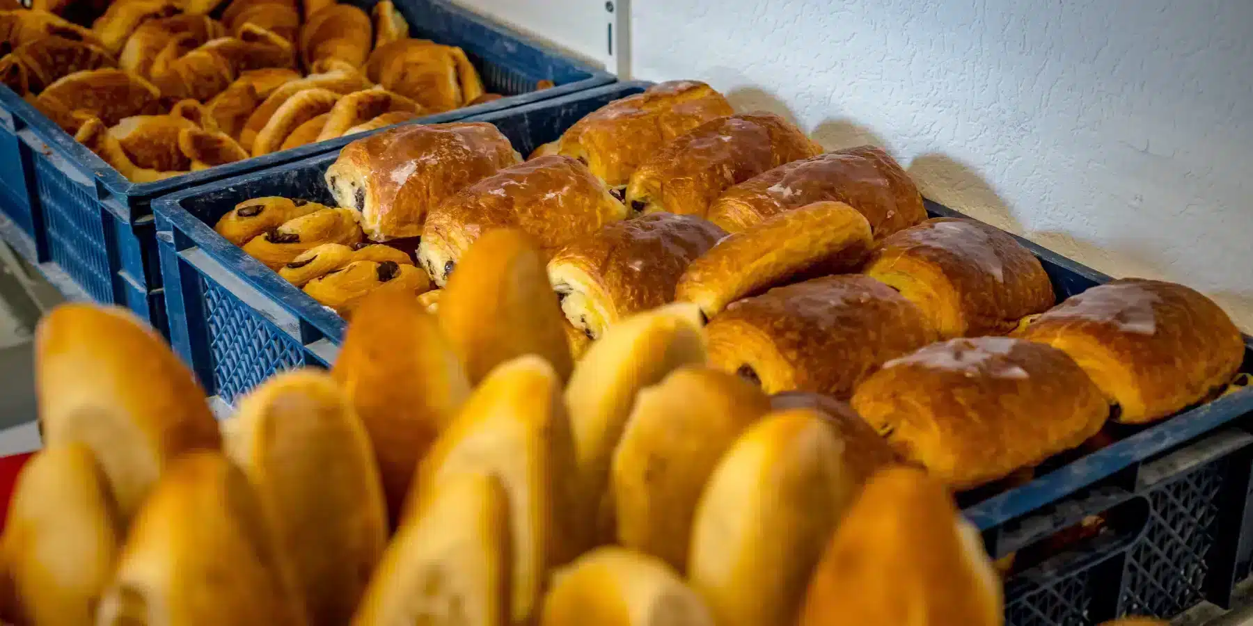 service camping castor alsace_01